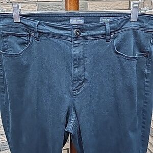 J Jill Denim Jeans High Rise Straight Leg Sz 14